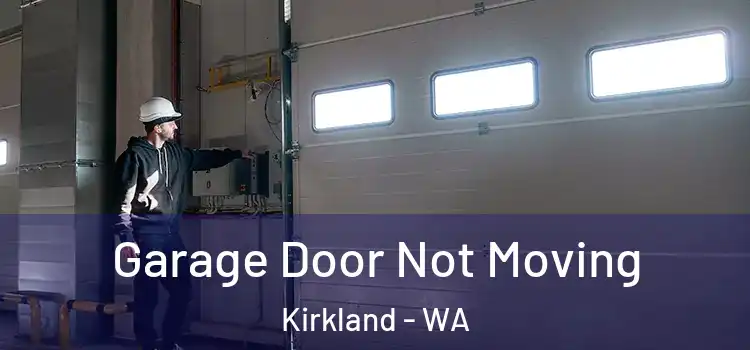  Garage Door Not Moving Kirkland - WA